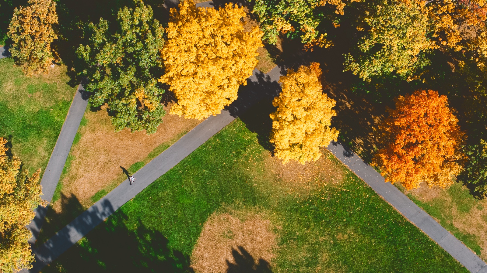 Aerial fall view of the Ag Quad.