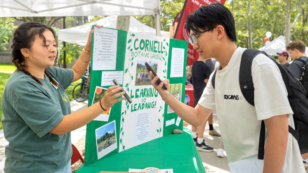 a student gets information at a Cornell Botanic Gardens table during the Big Red Welcome Fest on Ho Plaza, August 2026