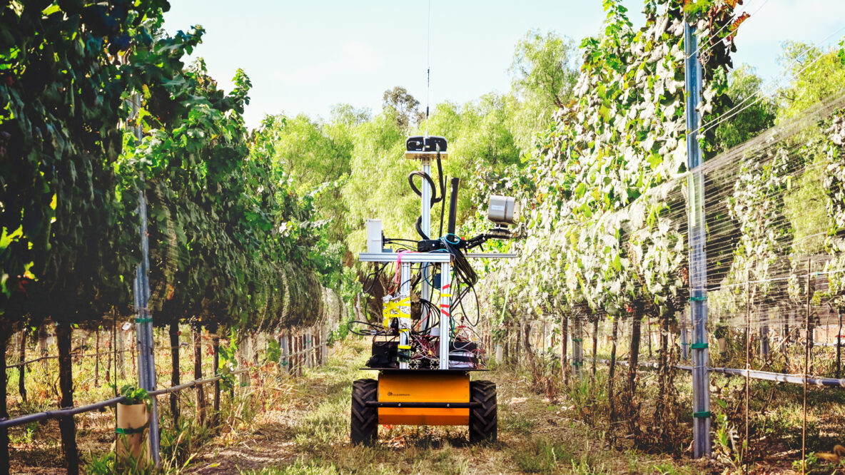 Meet the Alums Using Robots and AI to Improve Crop Health