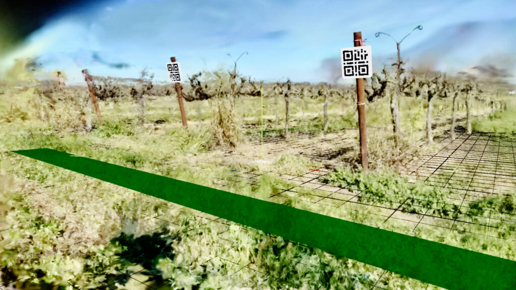 The graphic model a vineyard that the robot creates.