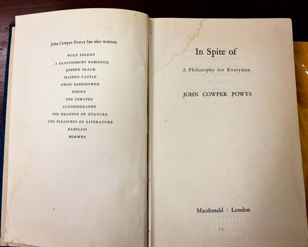 " In Spite of: A Philosophy for Everyman" by John Cowper Powys