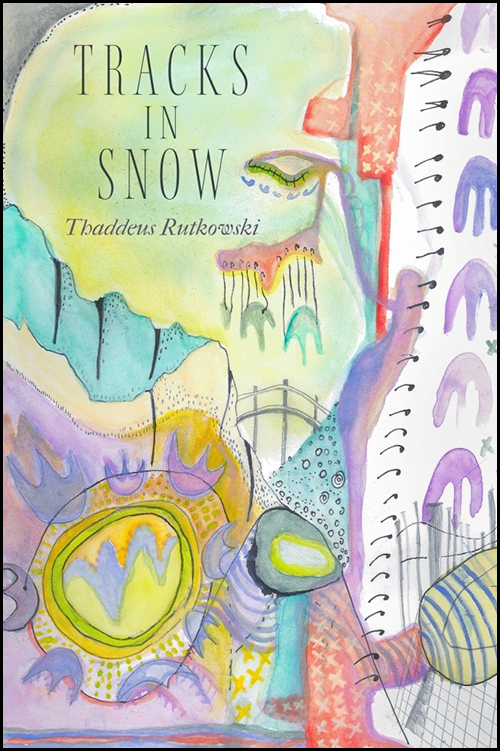 The cover of "Tracks in Snow"