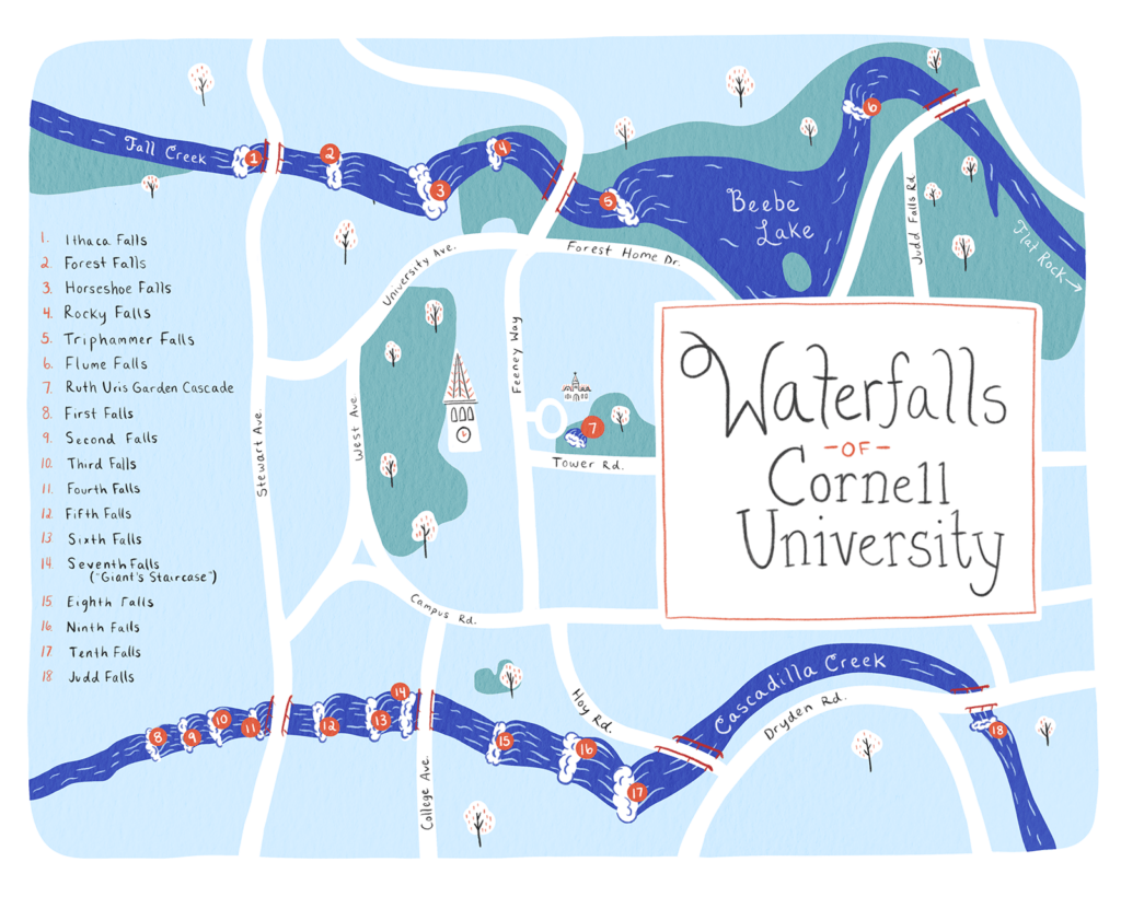 map graphic showing the location and names of eighteen waterfalls in and around the Cornell University campus and along the Fall Creek and Cascadilla gorges. In Fall Creek Gorge: Ithaca Falls, Forest Falls, Horseshoe Falls, Rocky Falls, Triphammer Falls, and Flume Falls in Hemlock Gorge. In Cascadilla Gorge: First Falls, Second Falls, Third Falls, Fourth Falls, Fifth Falls, Sixth Falls, Seventh Falls (also known as Giant's Staircase), Eighth Falls, Ninth Falls, Tenth Falls, and Judd Falls. Also labeled is the small cascade falls near the A.D. White House in the Ruth Uris Garden.
