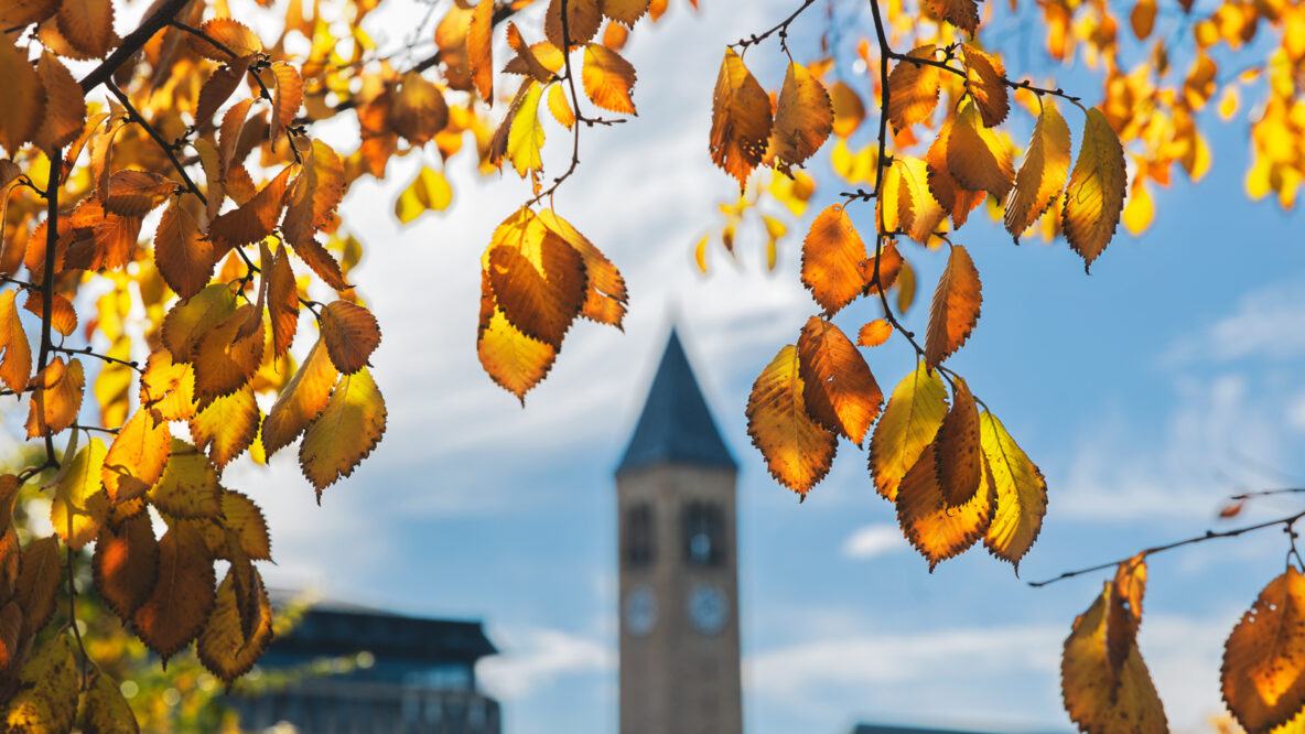 October 2026