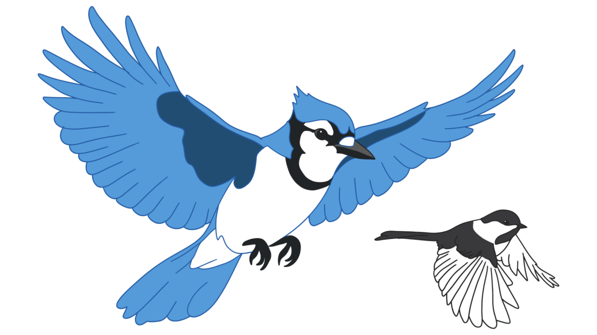 Check Out These Five Easy Ways to Help Prevent Bird Collisions
