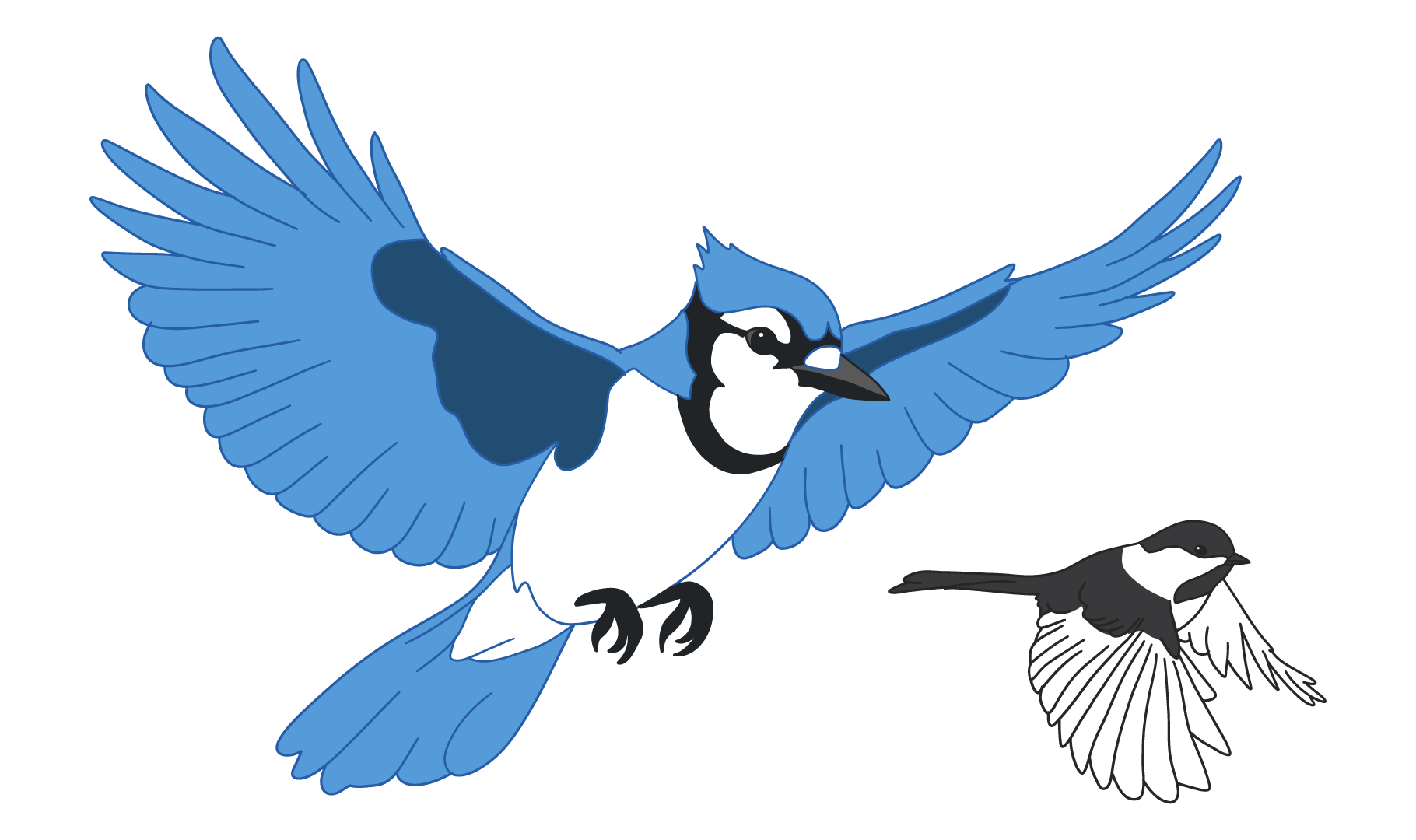 An illustration of a large blue bird and a smaller black and white bird