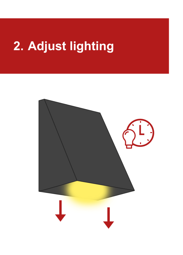 An illustration of a light with the light pointed downward, under the heading "2. Adjust lighting"