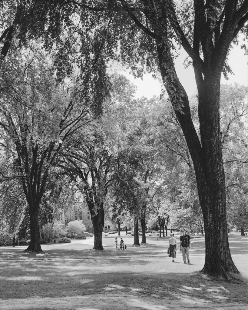 towering elms line Cornell's Arts Quad as students stroll below in 1953