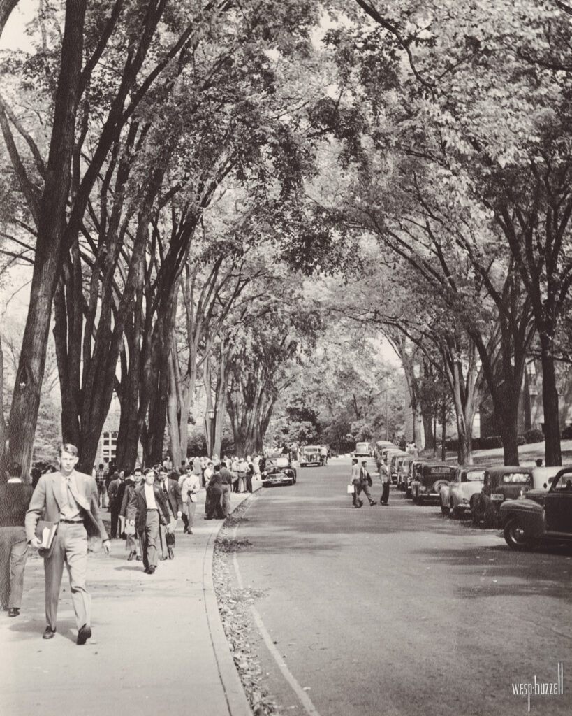 elms with their branches arching overhead, forming a canopy over Central Avenue on campus in 1940 as students stroll on the sidewalk below