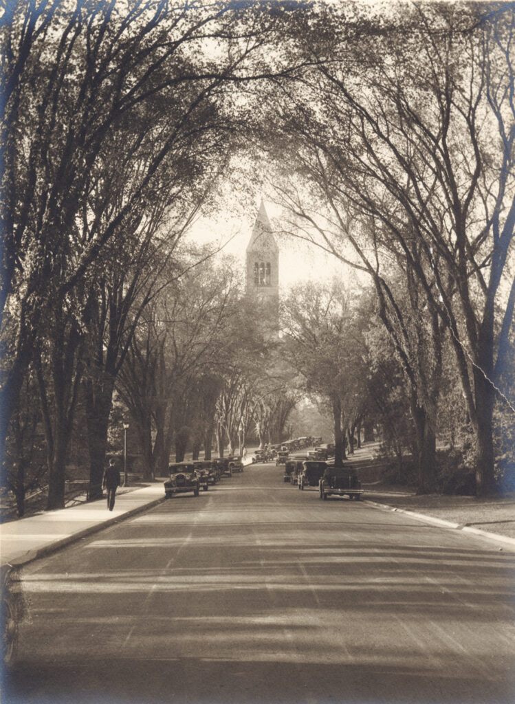 A view looking north along Central Avenue in 1933, with a double row of elm trees arching overhead and framing McGraw (then Library) Tower in the distance