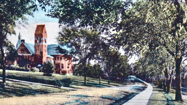 Remembering Cornell’s Elms, Once the ‘Mighty Monarchs’ of the Hill
