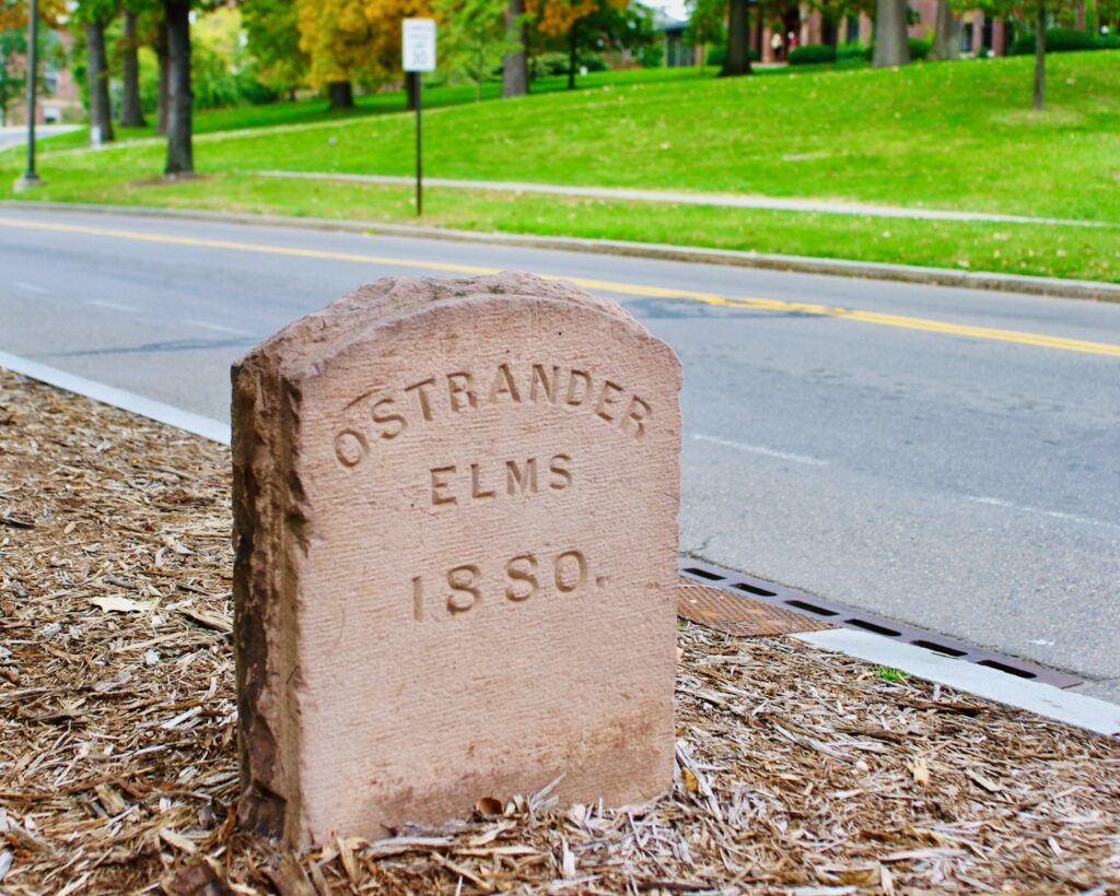 one of the two stones that mark the stand of Ostrander elms and serve as a tribute