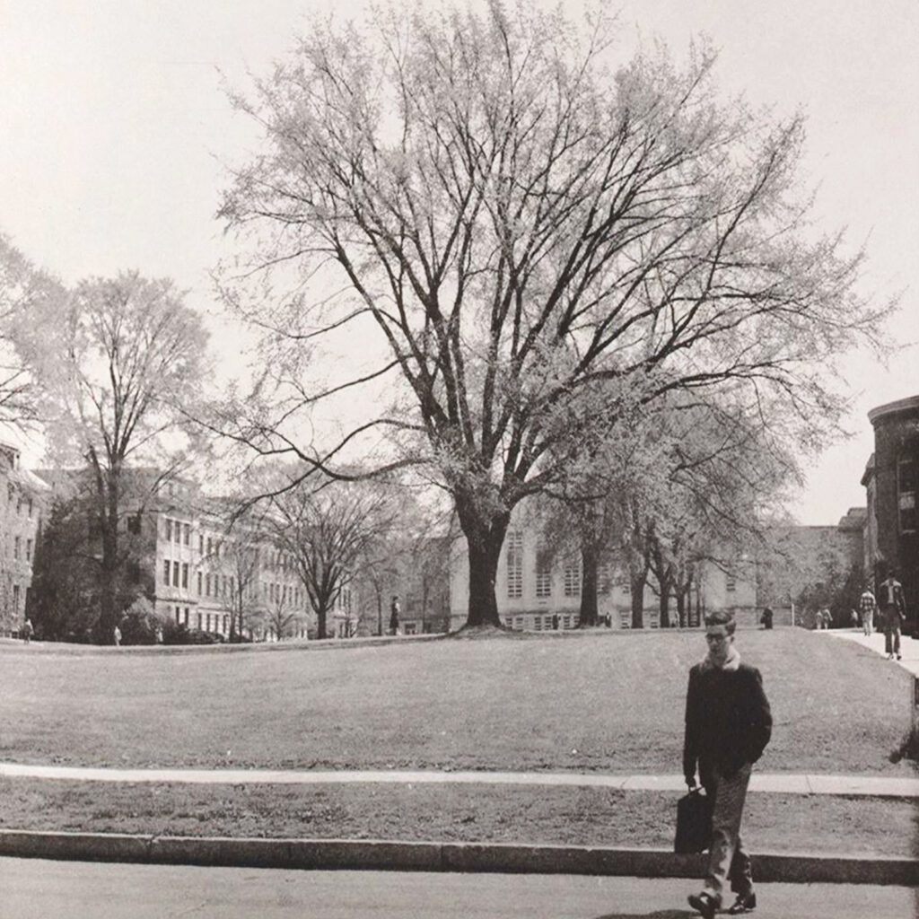 elm trees are visible on Cornell's Ag Quad in the 1950s