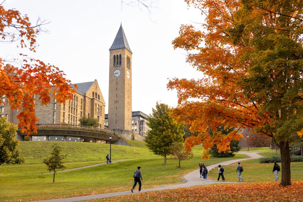 Students walk on the pathways on the arts quad past trees with orange and green leaves.