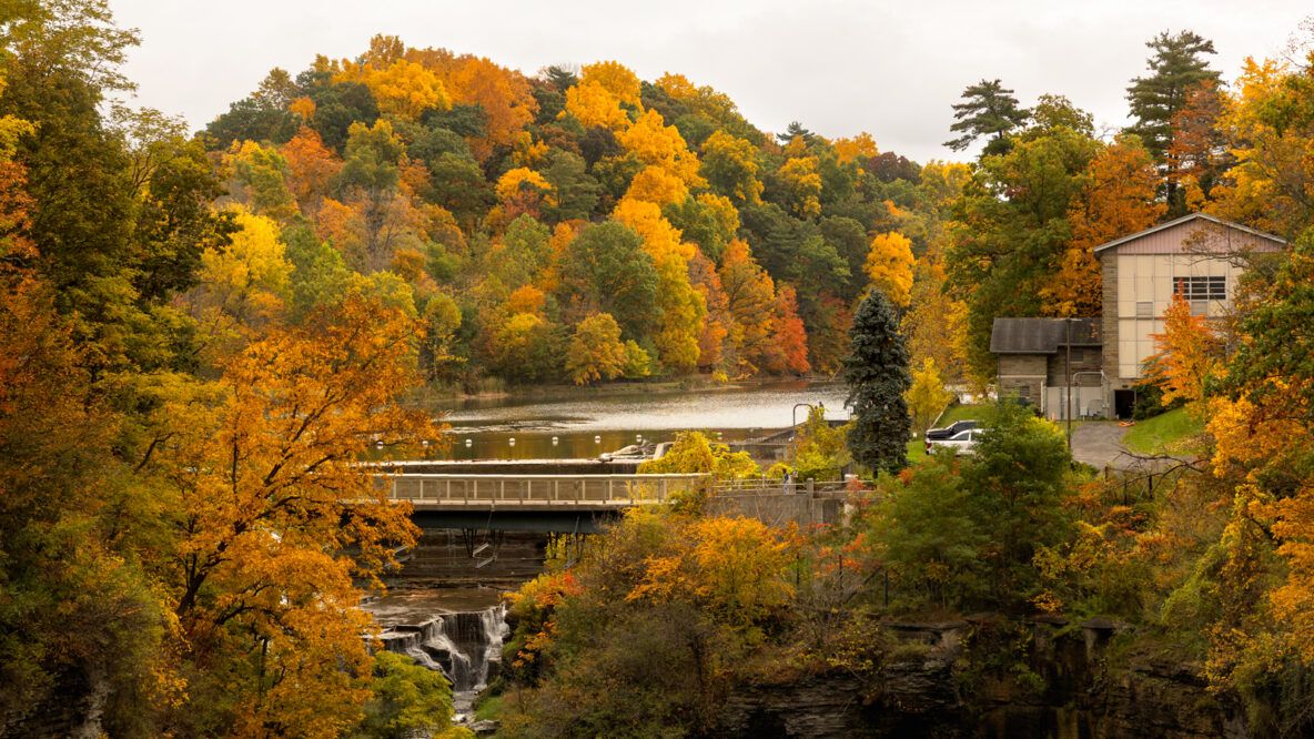Big Red, Fall Colors: East Hill’s Autumn Beauty, in Photos