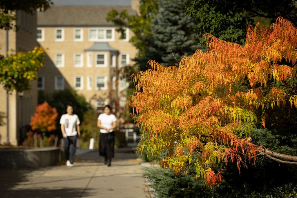 Two students walk on the Ag Quad surrounded by fall foliage on the trees around the pathway.