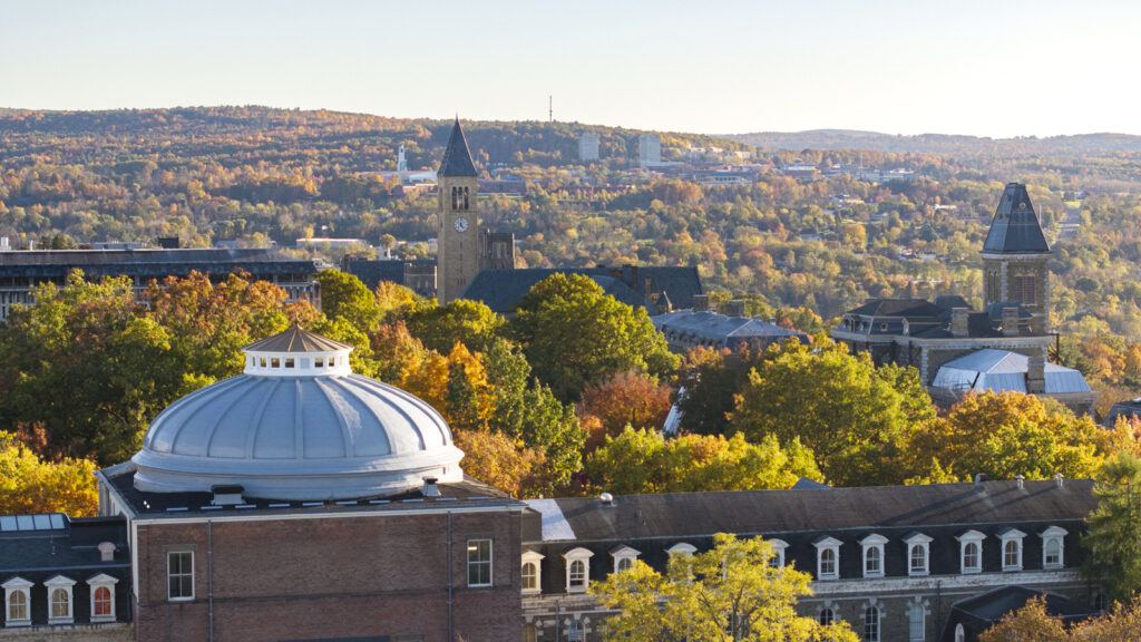 A view from above of the yellow and green fall foliage on campus, featuring the top McGraw Tower in the distance.