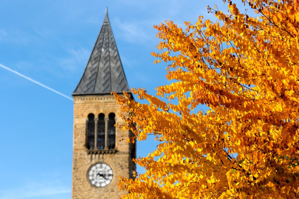 The top of McGraw Tower with yellow branches of a nearby tree and a bright blue sky.