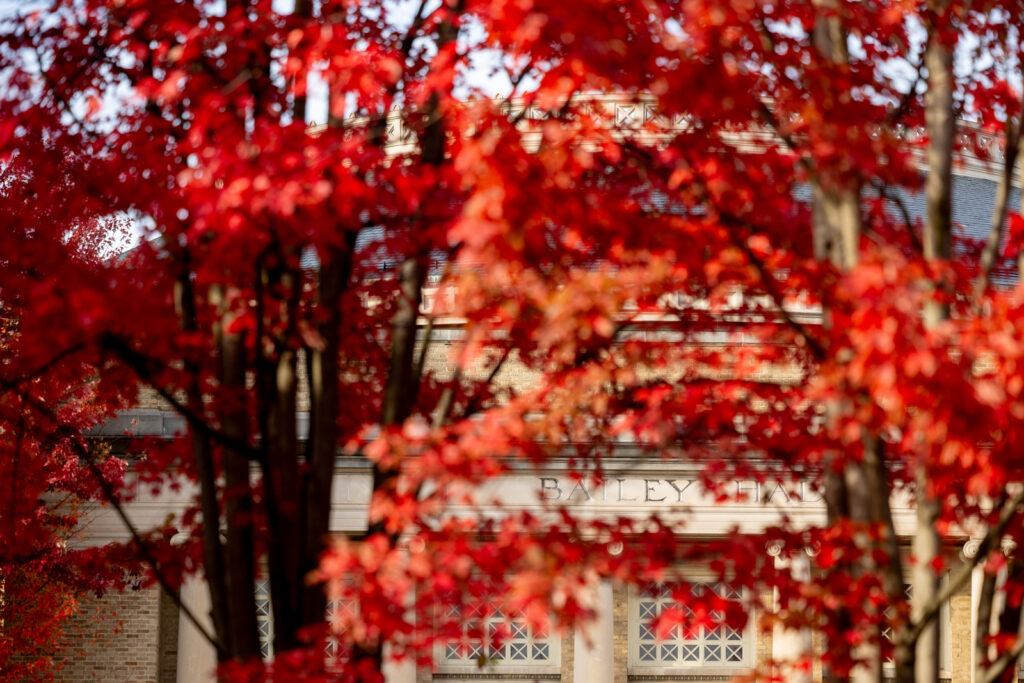 the facade of Bailey Hall is seen peeking through bright red foliage in front of the building.