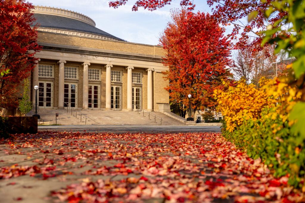 Bright red trees on either side of Bailey Hall with leaves scattered on the pathway.