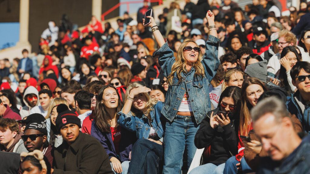 Spectators in the stands cheer and put their hands in the air while watching the game.