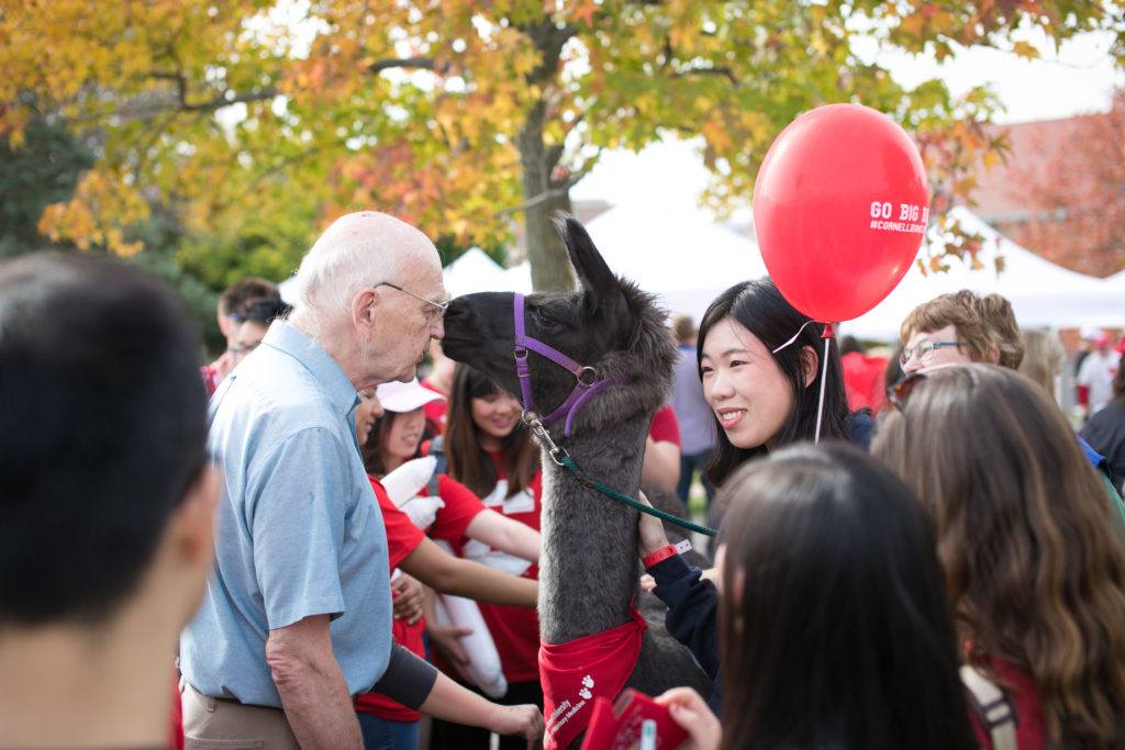 Homecoming demo tent