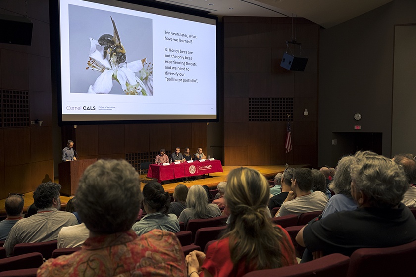 A Cornell expert discusses bees and other pollinators.