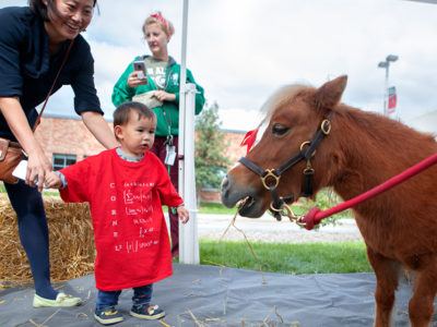 Minnie the miniature horse—unofficial mascot of the College of Veterinary Medicine—face to face with a toddler..
