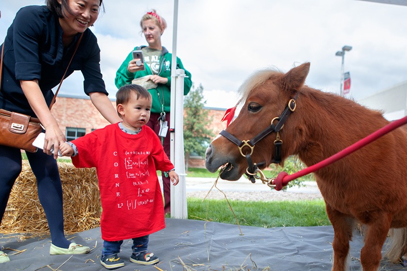 Minnie the miniature horse—unofficial mascot of the College of Veterinary Medicine—face to face with a toddler..