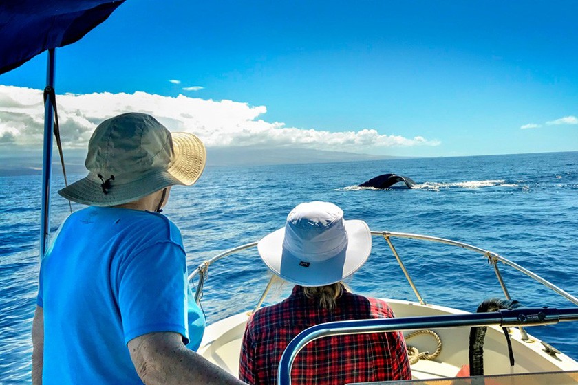 Katy Payne and Annie Lewandowski watch a whale from the deck of a boat