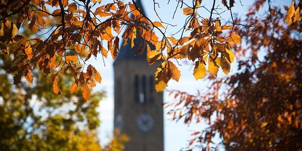fall foliage on campus