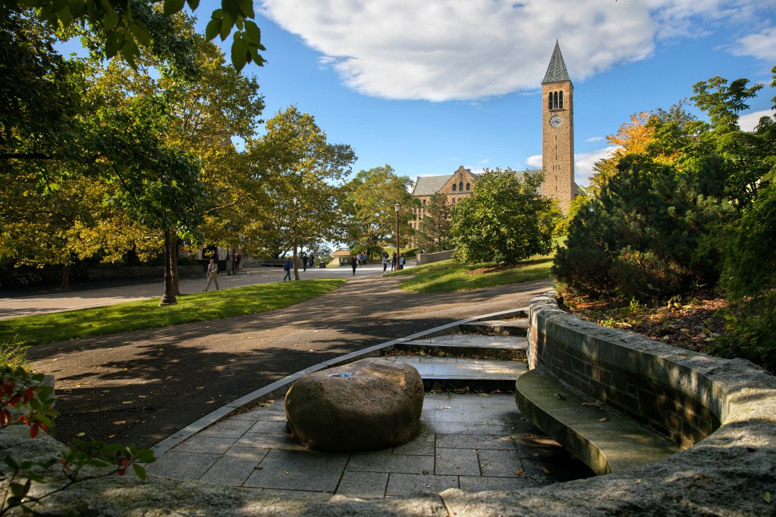 McGraw tower in summer from the Alpha Phi Alpha Centennial Memorial bench.