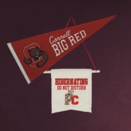 Big Red pennant, Hibernating do not disturb banner, and diploma