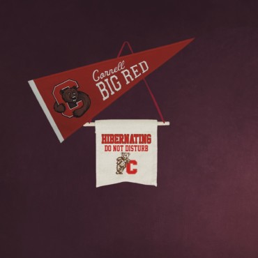 Zoom Virtual Backgrounds - Alumni, parents, and friends | Cornell