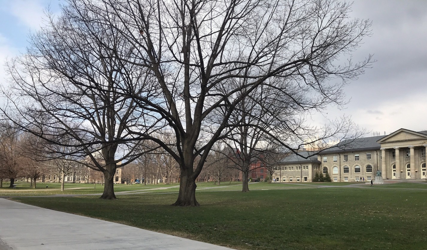 The Arts Quad on a recent spring day.
