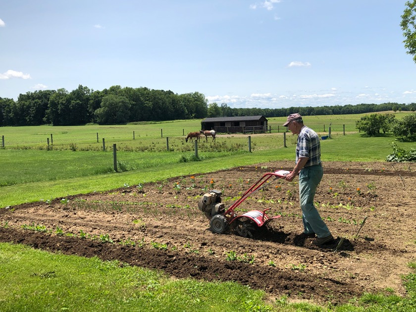 Ben grows beans, peas, tomatoes, zucchini, you name it in his 1,500-square-foot garden.