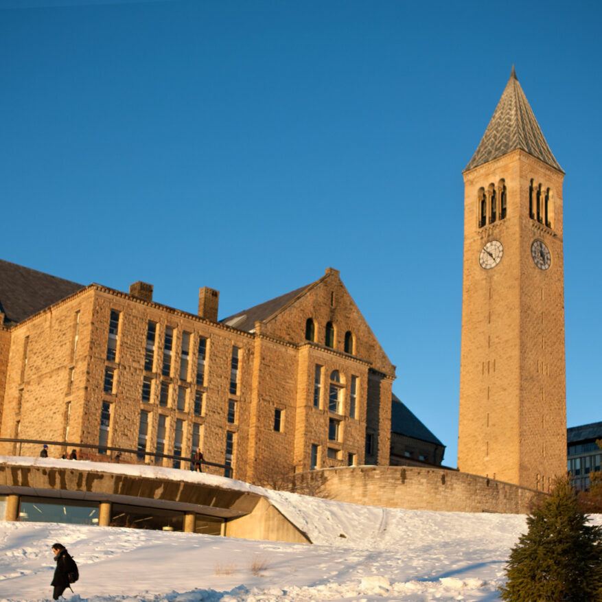 Cornell Zoom Background