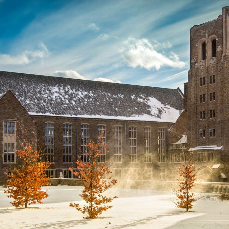 Cornell Zoom Background