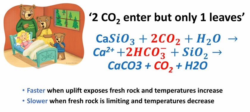 “2 CO2 enter but only 1 leaves slide” from Dean Houlton’s Feb 22 seminar