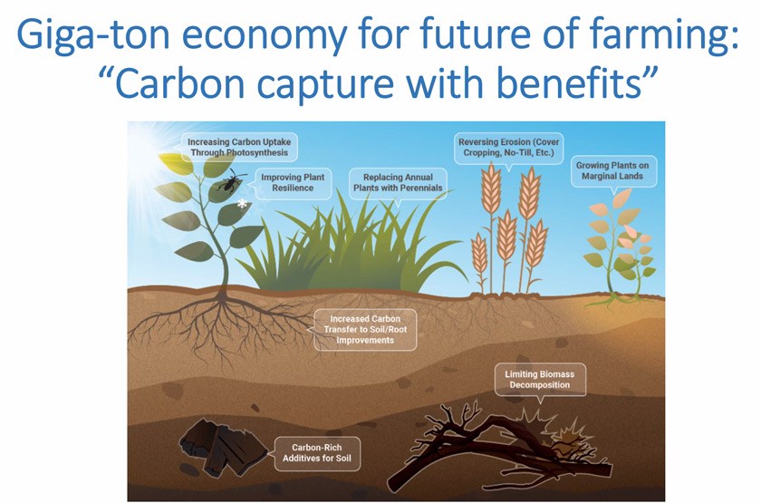 “Carbon capture with benefits” slide from Dean Houlton’s Feb 22 seminar