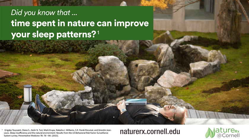 NatureRx sleep poster