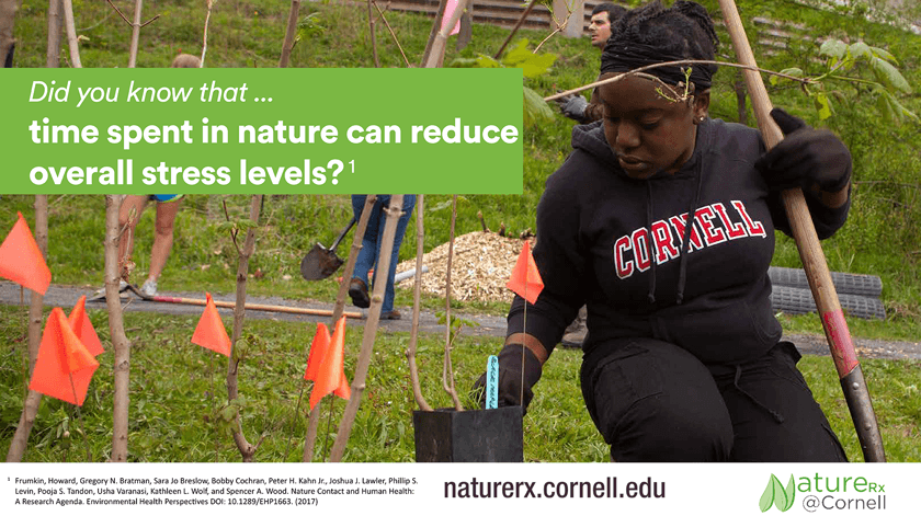 NatureRx stress levels poster