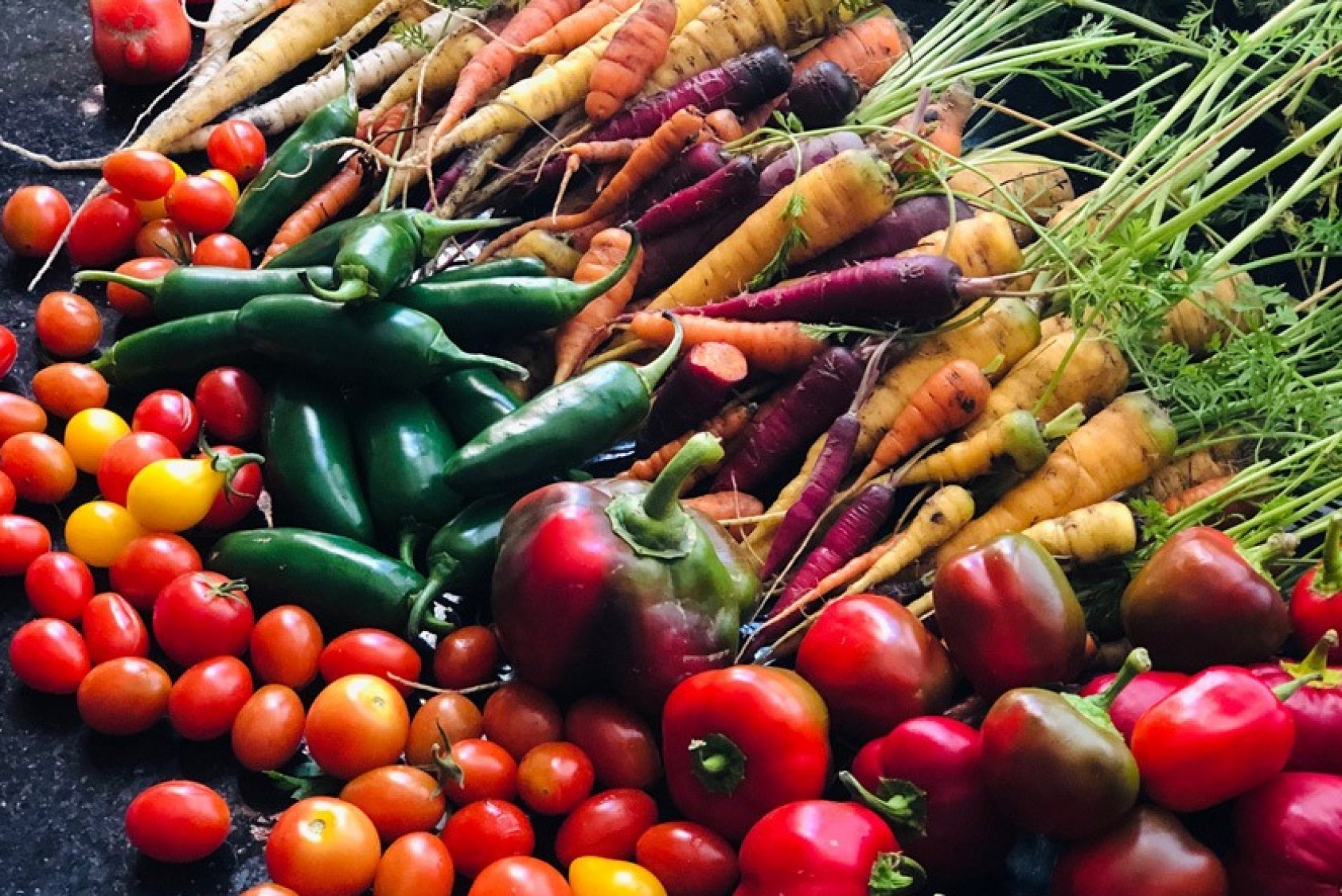 Fall 2020 carrots, peppers, and tomatoes