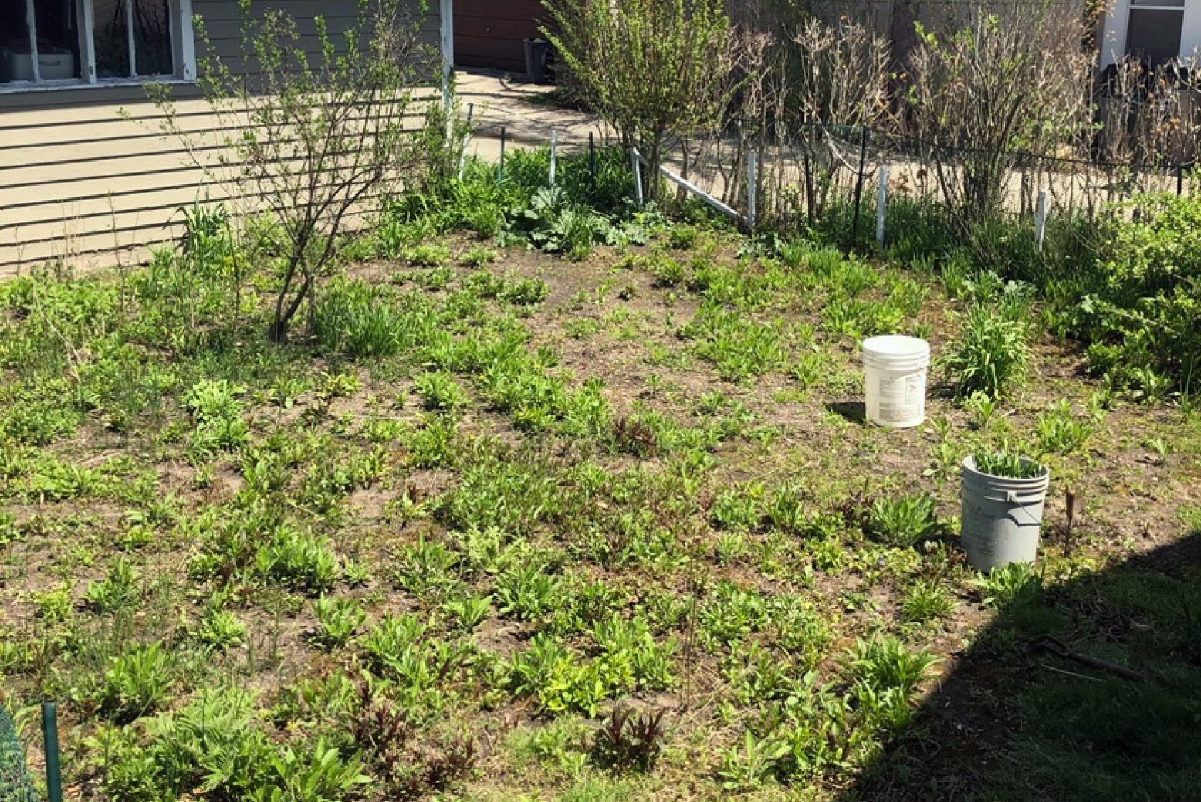 The vacant garden plot in early May 2020