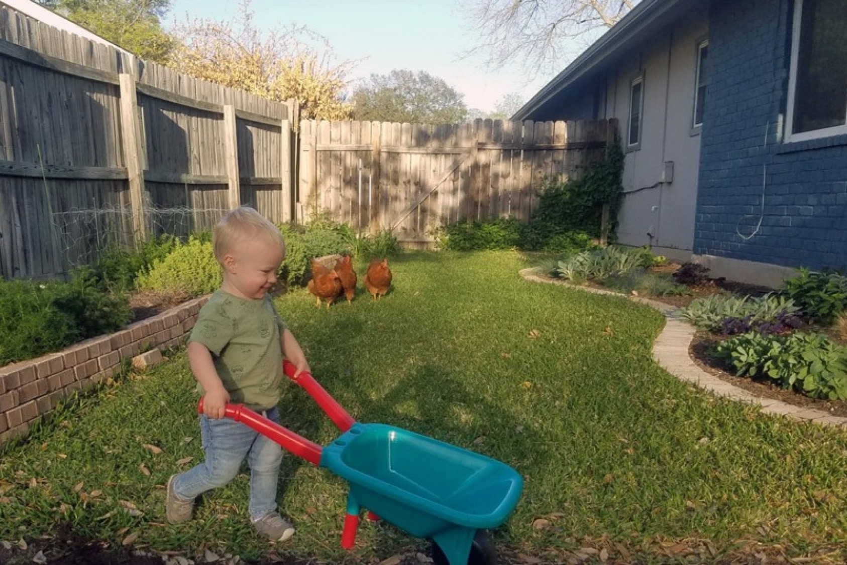 Ezra and the chickens