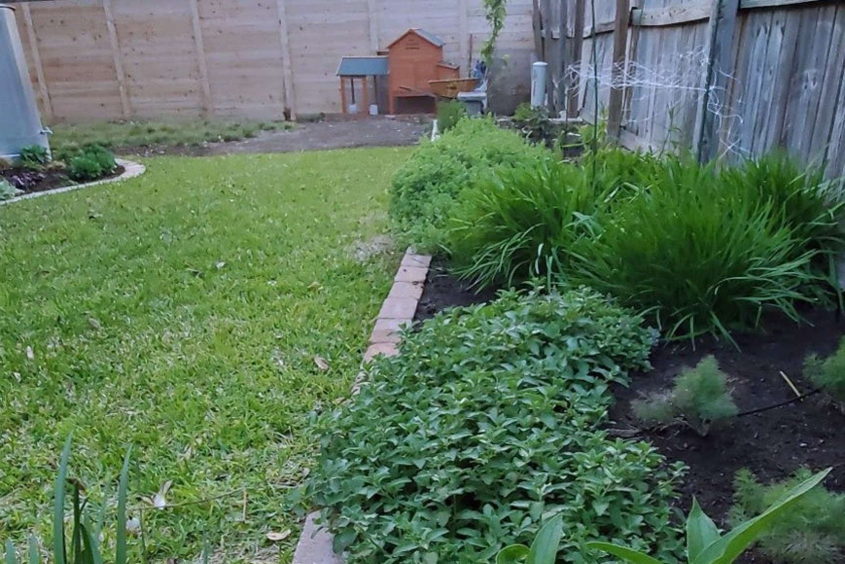 Herb garden