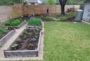 Raised beds