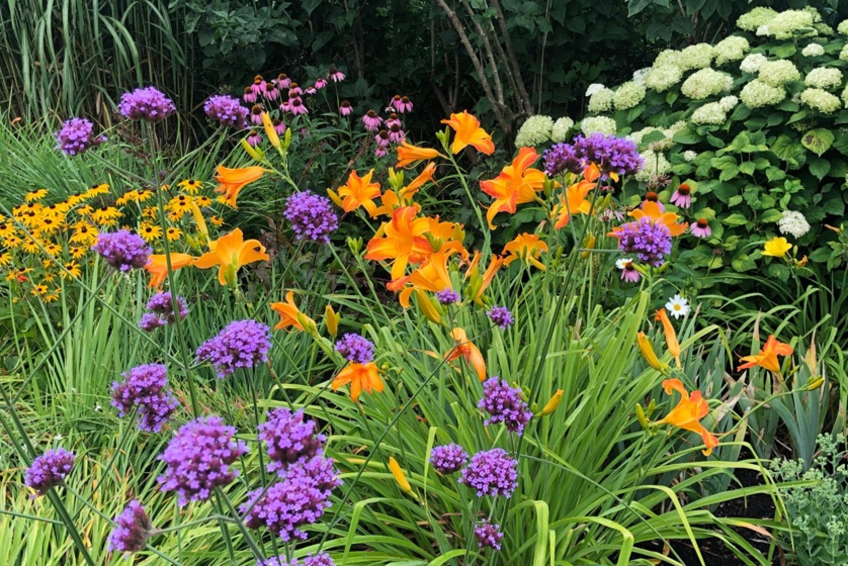 Some of the colorful blooms in Fred’s backyard. “Gardening is so rewarding,” Fred says. “You see the results of your labor, and it links you to the Earth and its constant renewal and variety.”