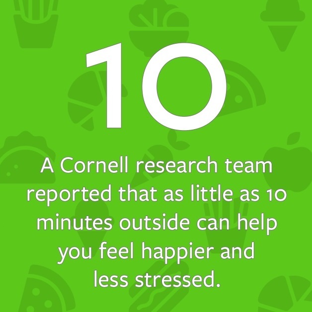 A Cornell research team reported that as little as 10 minutes outside can help you feel happier and less stressed.