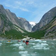 kayaks through an ice flow with Cornell Alumni Travel